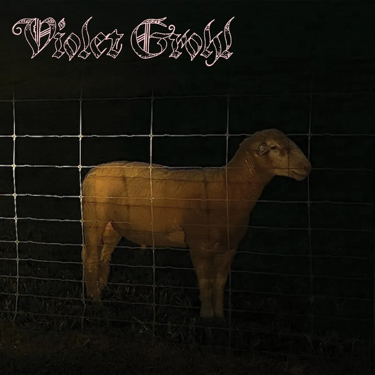 Violet Grohl выпустила дебютные синглы "THUM" и "A...