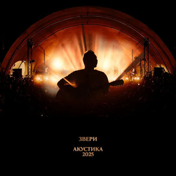 Группа «Звери» выпустила живой альбом «Акустика 20...