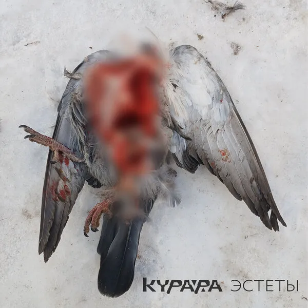 «Курара» выпустила альбом «Эстеты»: новы...